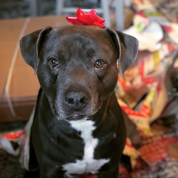 🎀 Nice To Meet You! - Picture 3 of 8